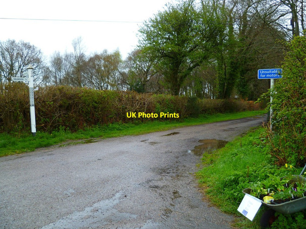 Photo 6"x4" Orange Way in Devon and Torbay (475) Dalwood c2012
