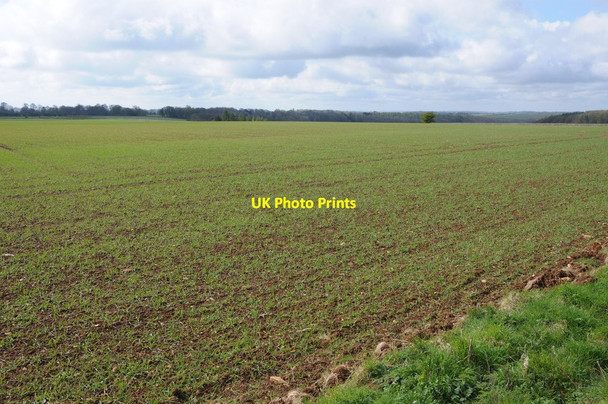 Photo 6"x4" Arable field at Newington Bagpath Lasborough c2012