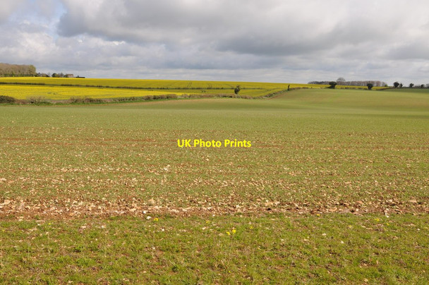 Photo 6"x4" Cotswold land Lasborough c2012