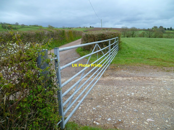 Photo 6"x4" Orange Way in Devon and Torbay (493) Axminster c2012