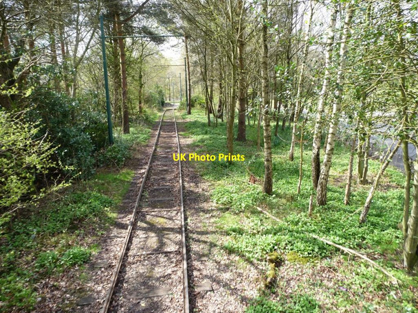 Photo 6"x4" Tramway passing through woodland, Heaton Park Prestwich c2012