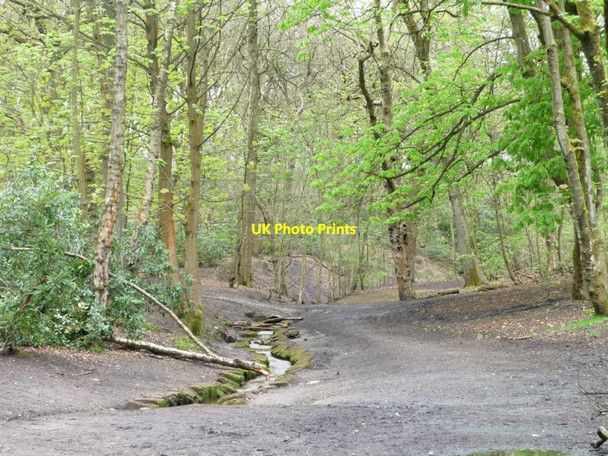 Photo 6"x4" Small stream in Heaton Park Prestwich c2012