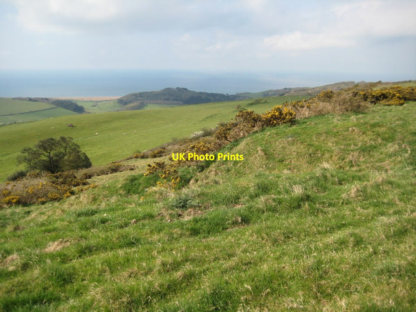 Photo 6"x4" View to the west from White Hill Abbotsbury\/SY5785 c2012