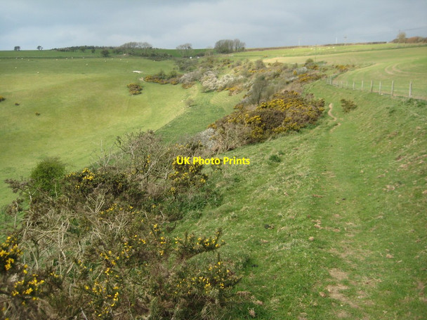 Photo 6"x4" Portesham Down Portesham c2012