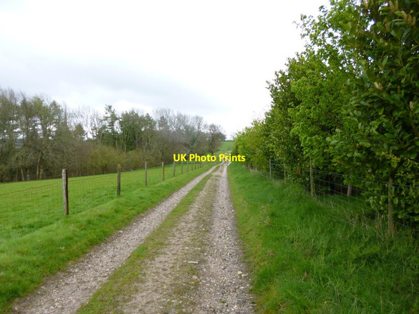 Photo 6"x4" Bulbarrow, bridleway Hilton\/ST7803 c2012