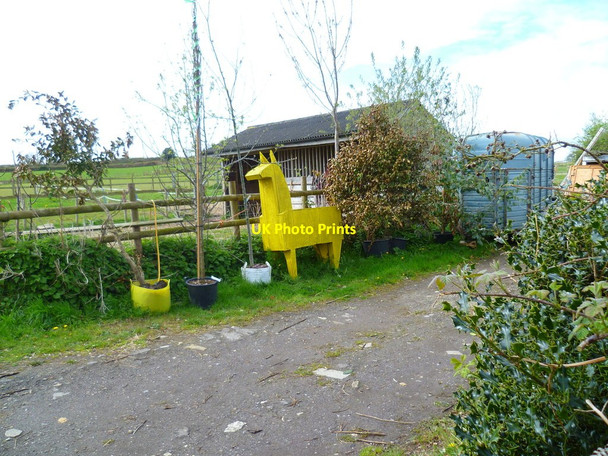 Photo 6"x4" Orange Way in Devon and Torbay (530) Hawkchurch c2012