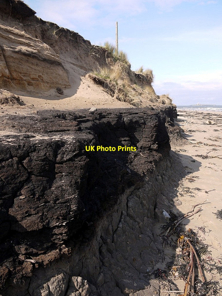 Photo 6"x4" Quaternary peat deposit, Low Hauxley shore Amble c2012