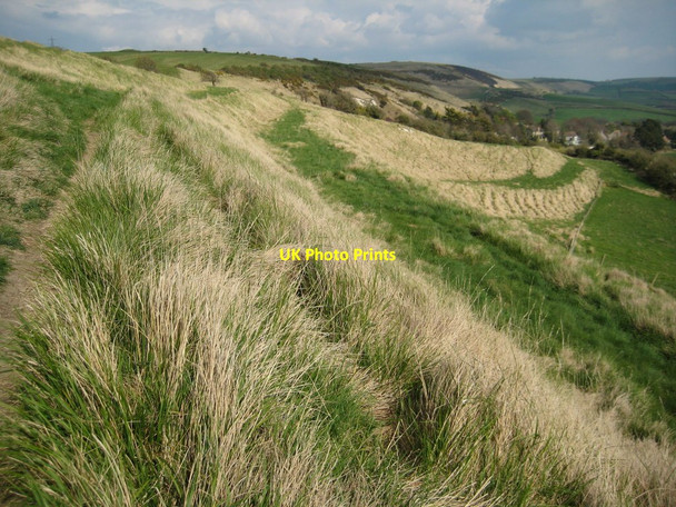 Photo 6"x4" Slopes of Green Hill Bincombe\/SY6884 c2012