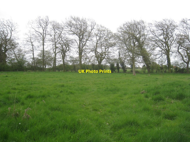Photo 6"x4" Footpath to Eskham Eskham c2012