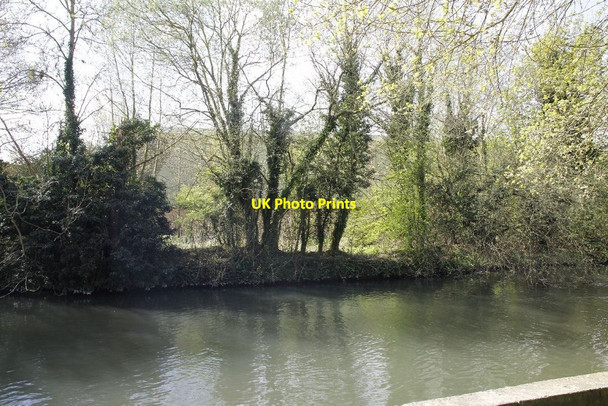 Photo 6"x4" The Far Bank Newbury\/SU4767 c2012