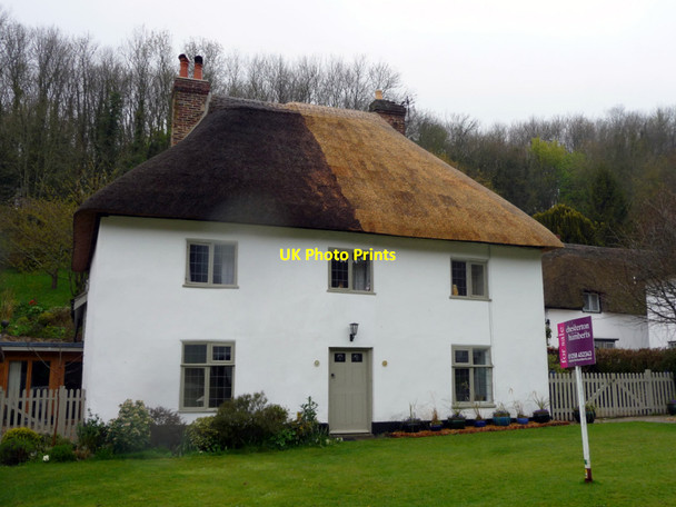 Photo 6"x4" Thatched Cottage, Milton Abbas, Dorset Milton Abbas c2012