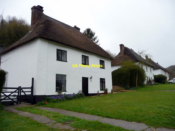 Photo 6"x4" Thatched Houses, Milton Abbas, Dorset Milton Abbas c2012 P1