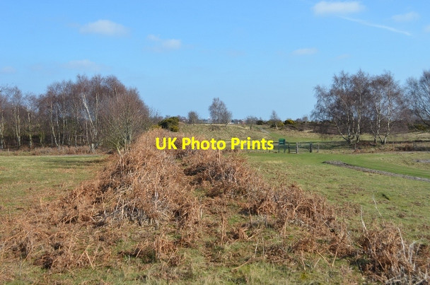 Photo 6"x4" Former Southwold Railway Southwold c2012