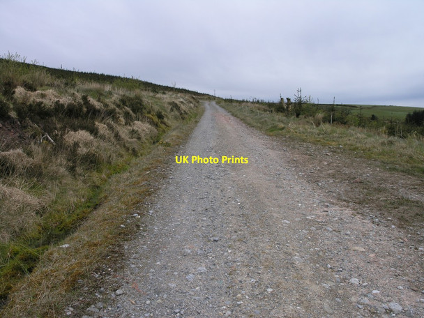 Photo 6"x4" Trackway on upper mountainside Killavullen c2012