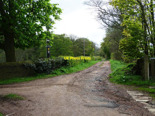 Photo 6"x4" Denby Grange Lane Upper Denby\/SE2316 c2012