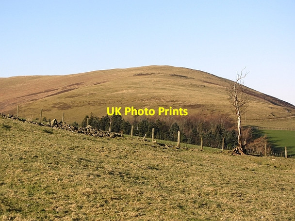 Photo 6"x4" Fence, The Raw Mitchell Hill\/NT0633 c2012