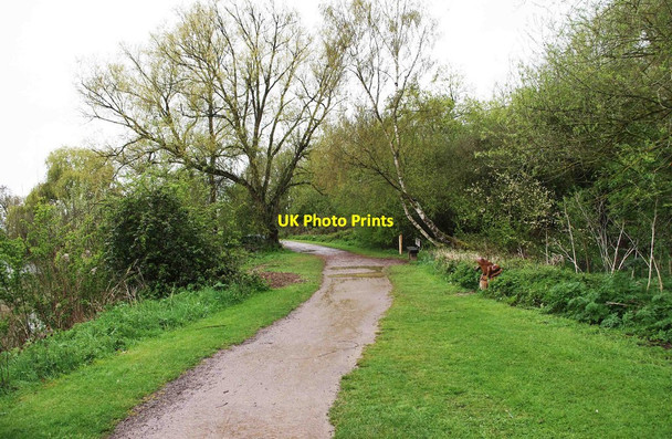 Photo 6"x4" Barnwell Country Park - by Mill Lake, near Oundle Oundle c2012