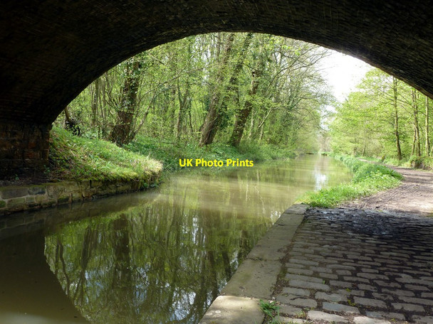 Photo 6"x4" Chesterfield Canal at Bridge 33  Thorpe Salvin c2012