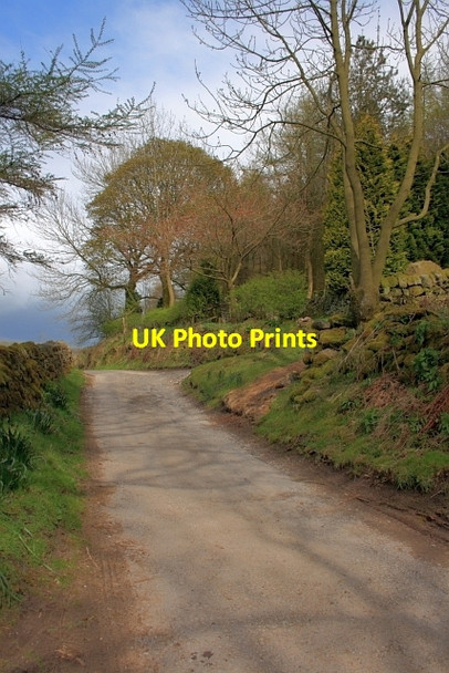 Photo 6"x4" Lane from Gladbach House Farm Roche Grange c2012