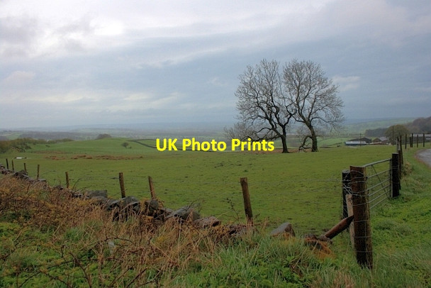 Photo 6"x4" Field near Naychurch Upper Hulme c2012