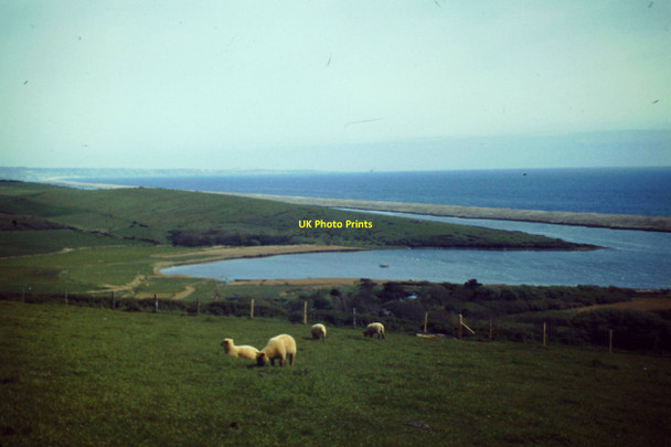 Photo 6"x4" Chapel Hill, Abbotsbury Abbotsbury\/SY5785 c1983