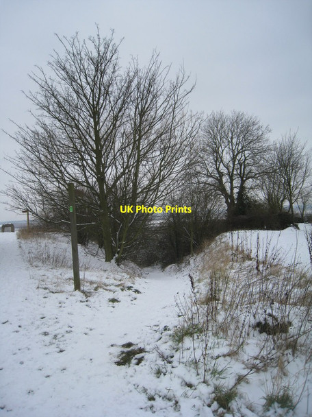 Photo 6"x4" Slippery way down Alkborough c2012