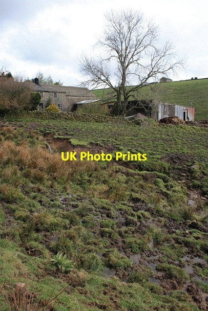 Photo 6"x4" Roundknow Farm Canholes c2012