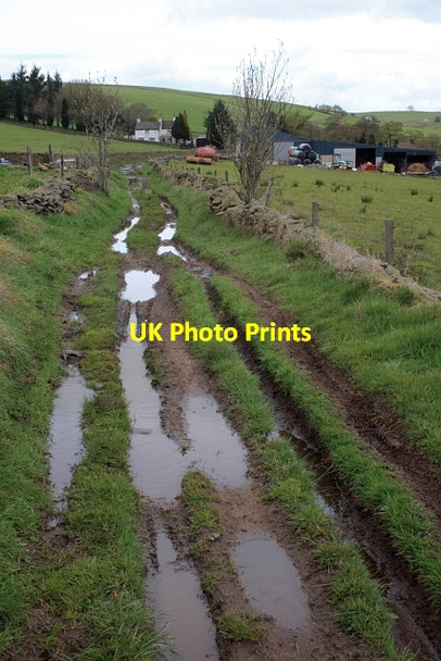 Photo 6"x4" Public Bridleway to Hillend Colshaw c2012