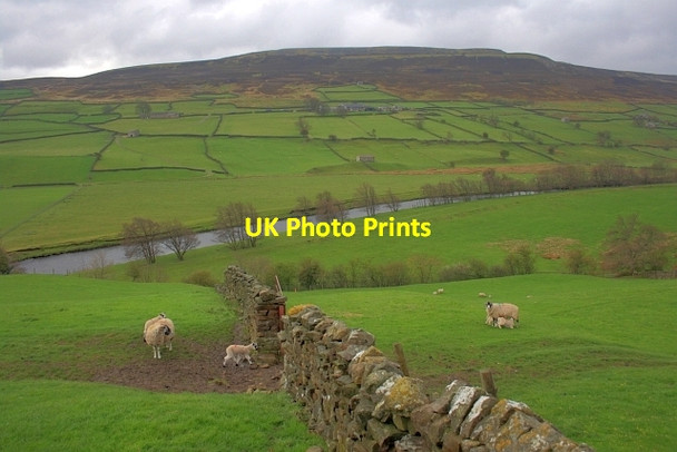 Photo 6"x4" Hutton Garth Healaugh\/SE0199 c2012