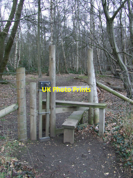 Photo 6"x4" Kidney Wood Luton\/TL0921 c2012