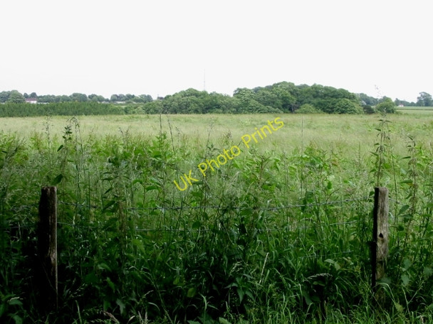 Photo 6"x4" Looking NE across farmland from end of lane to Ridge Row Ridge Row c2008