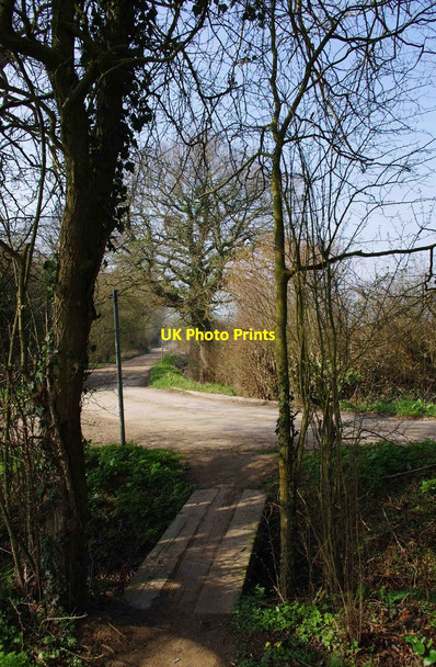 Photo 6"x4" Walking the plank, near Lechlade on Thames Lechlade on Thames c2012
