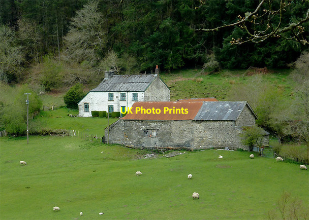 Photo 6"x4" Farm in Cwm Cnyffiad, Powys Beulah\/SN9251 c2012