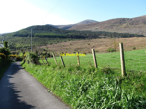 Photo 6"x4" View east along an access road to the Tollymore Forest Park Newcastle\/J3732 c2012
