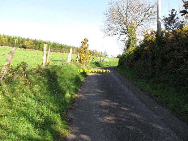 Photo 6"x4" Road linking Tullybrannigan Road with the Tollymore Forest track system Newcastle\/J3732 c2012