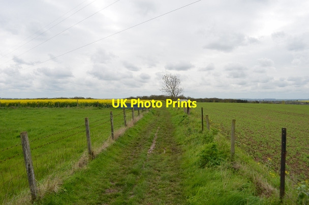 Photo 6"x4" John Bunyan trail Bromham\/TL0051 c2012