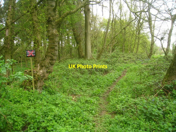 Photo 6"x4" Who ignores this sign? Bradley\/SU6341 c2012