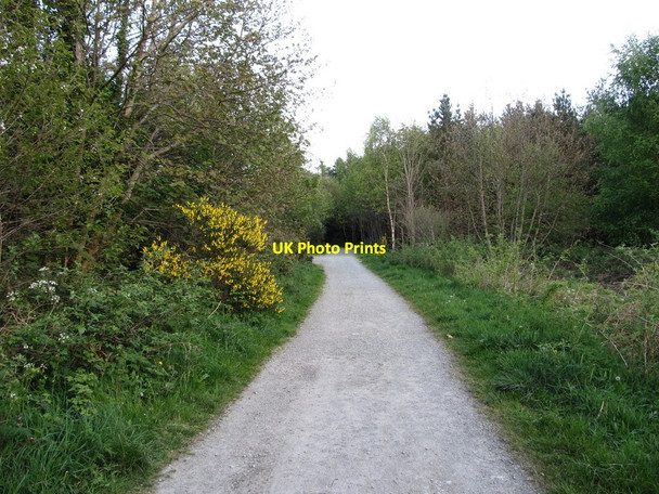 Photo 6"x4" View south-eastwards along Tipperary Lane Newcastle\/J3732 c2012
