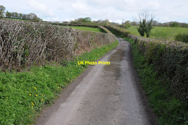 Photo 6"x4" Road to Brilley Mountain Brilley c2012