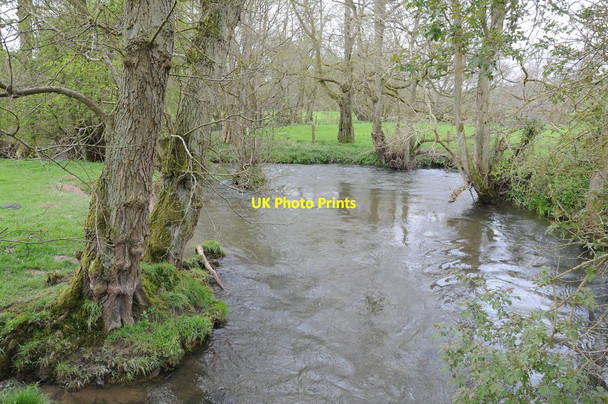Photo 6"x4" The River Arrow in spate Michaelchurch-on-Arrow c2012