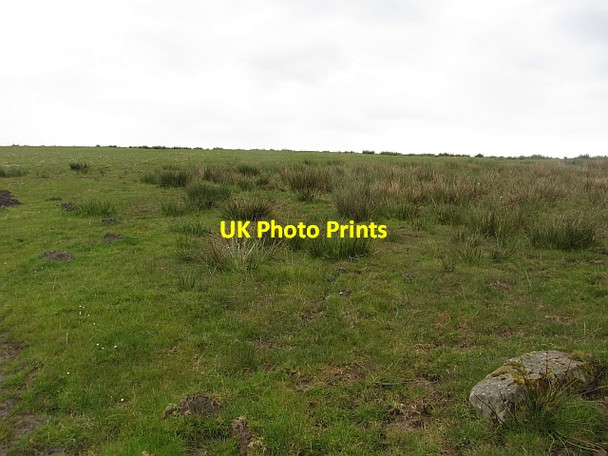 Photo 6"x4" Damp pasture near Tebay Old Tebay c2012