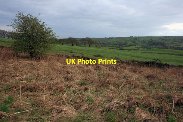 Photo 6"x4" Fields in the Hamps valley Onecote c2012