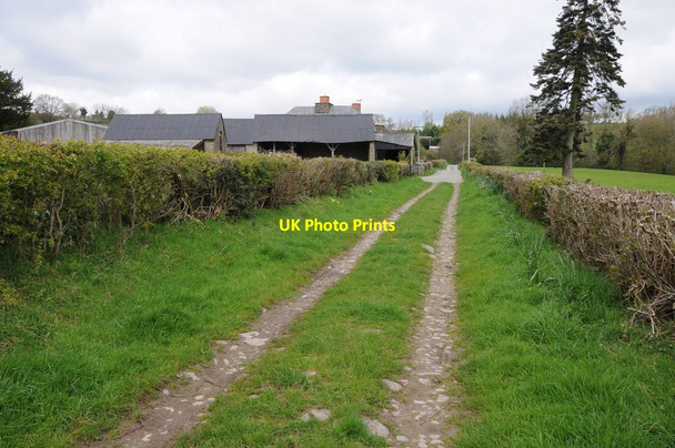 Photo 6"x4" Track past Great Gwern-y-bwch Michaelchurch-on-Arrow c2012