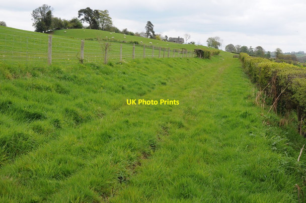 Photo 6"x4" Footpath near Lodge Farm Huntington\/SO2553 c2012