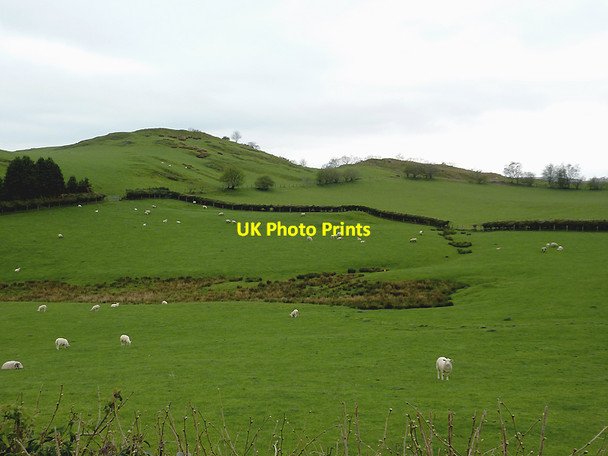 Photo 6"x4" Hill pasture near Troedrhiwdalar, Powys Troedrhiwdalar c2012