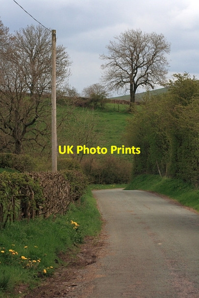 Photo 6"x4" Lane from Lower Elkstone Butterton\/SK0756 c2012