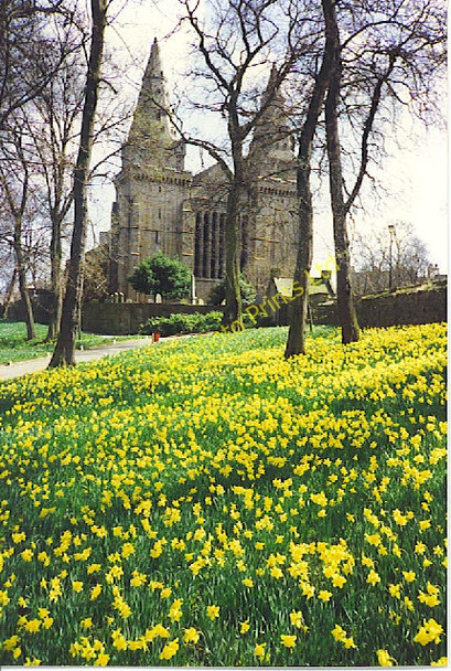 Photo 6"x4" St Machar's Cathedral from Seaton Park. Aberdeen\/NJ9206 c1992