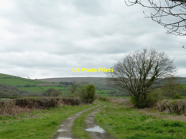 Photo 6"x4" Bridleway south-west of Newbridge-on-Wye, Powys Newbridge-on-Wye c2012