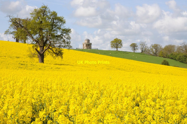 Photo 6"x4" The Panorama Tower and oilseed rape bloom Severn Stoke c2012