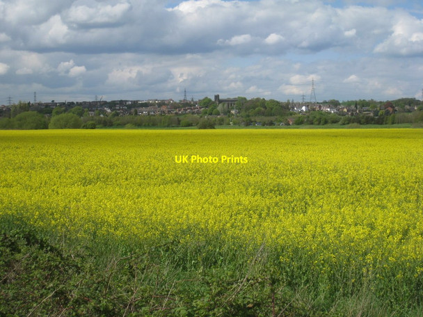 Photo 6"x4" View towards Stanley Stanley Ferry c2012